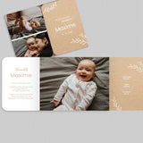 Petits brins sur kraft