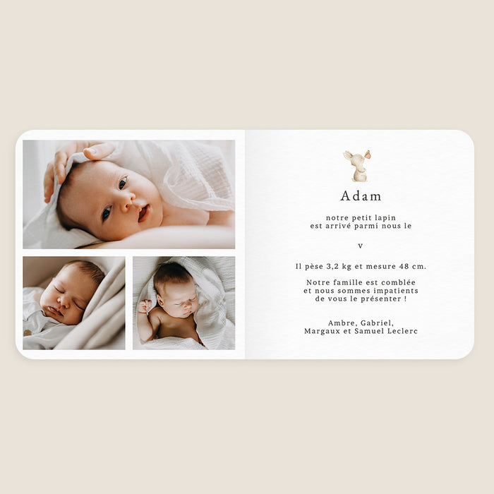 Faire-part naissance printemps-été Petit Lapin