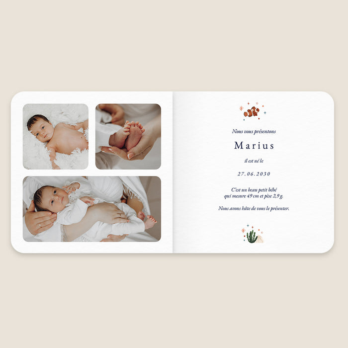 Les iconiques de Planet Cards Farandole de l'Océan