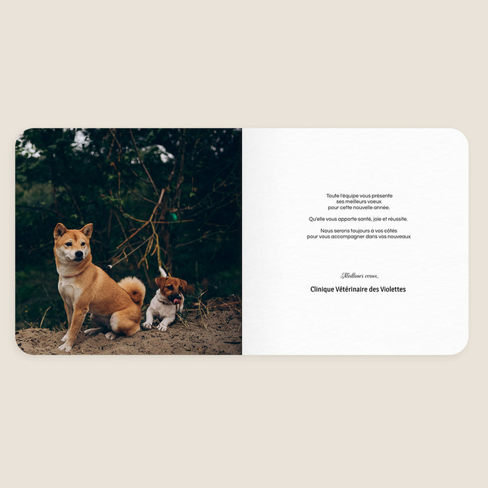 Cartes de Voeux Mairie Une Année qui a du Chien