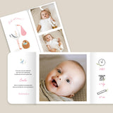 Cigogne