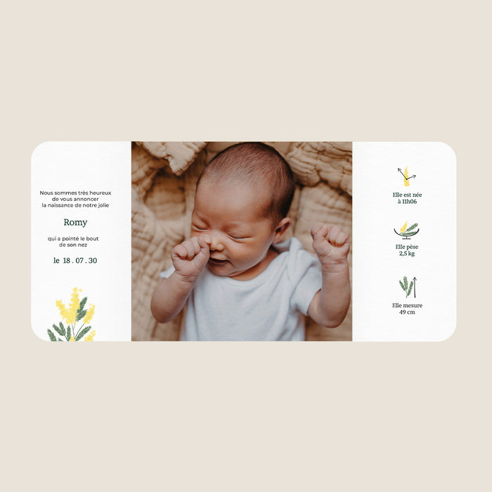 Les iconiques de Planet Cards Branches de Mimosa