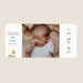 Les iconiques de Planet Cards Branches de Mimosa