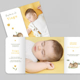 Petit Ourson Endormi