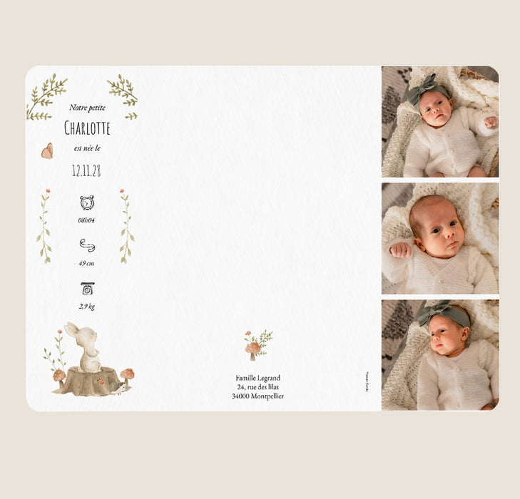 #lang=FR,format=G3GD,Cut=RC0