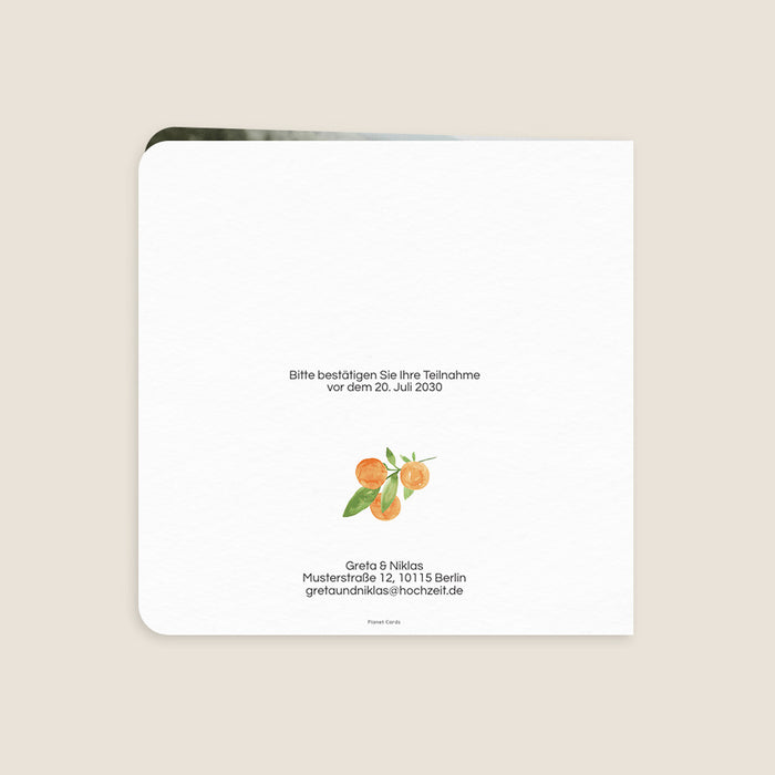 Les iconiques de Planet Cards Aquarelle et Agrumes