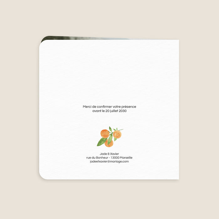Les iconiques de Planet Cards Aquarelle et Agrumes