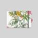#lang=DE,format=PF2HB,Cut=RC0,Accessories=FINO