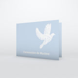 Belle colombe blanche