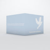 Belle colombe blanche
