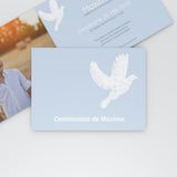 Belle colombe blanche