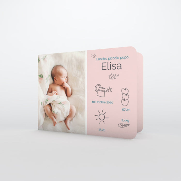 #lang=IT,format=G2G,color=Misty rose,Cut=RC1