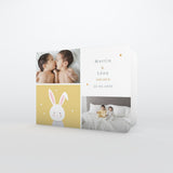 Doux petit Lapin Jumeaux