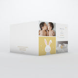 Doux petit Lapin Jumeaux