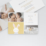 Doux petit Lapin Jumeaux