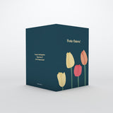 Bunte Tulpen