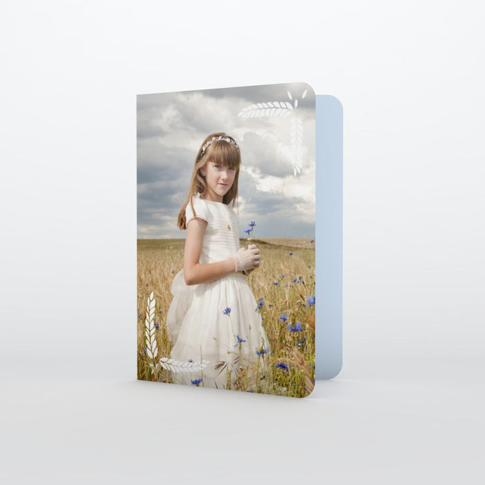 #lang=IT,format=G1G,color=Pastel blue,Cut=RC1