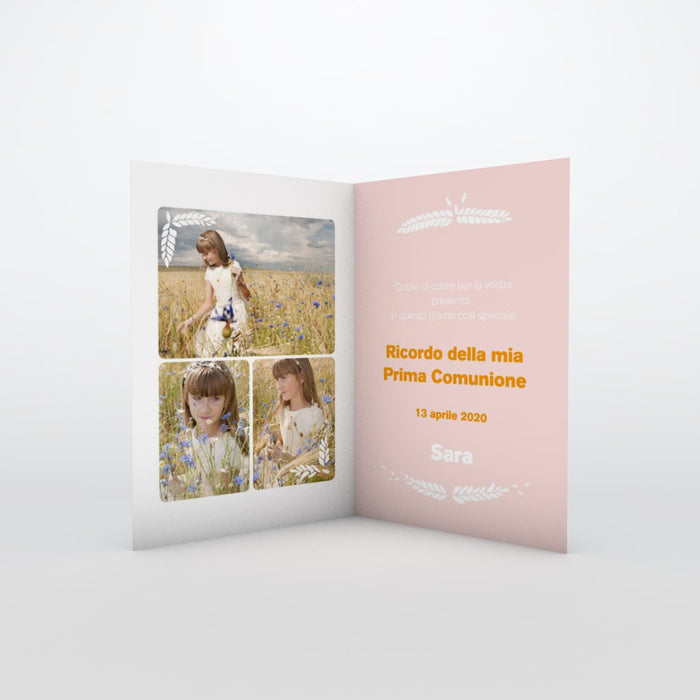 #lang=IT,format=G1G,color=Misty rose,Cut=RC0