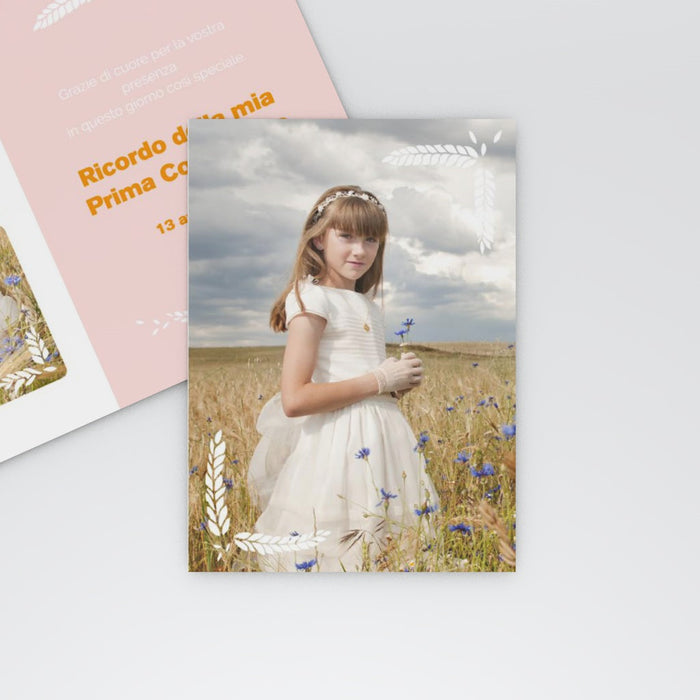 #lang=IT,format=G1G,color=Misty rose,Cut=RC0