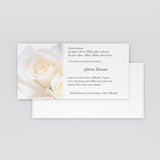 Paix et roses blanches