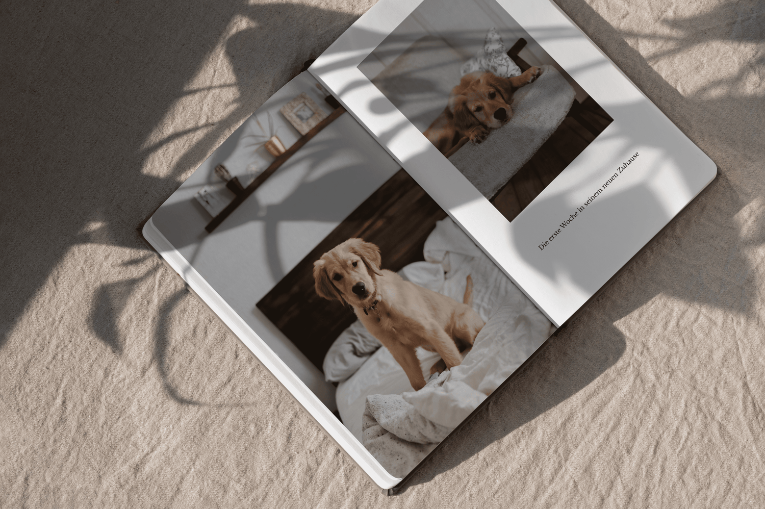 Vorstellung eines Fotoalbums mit Softcover, auf dem ein Haustier zu sehen ist.