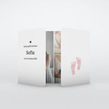 Pieds Roses