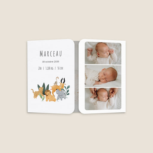#lang=FR,format=G2GD,Cut=RC1