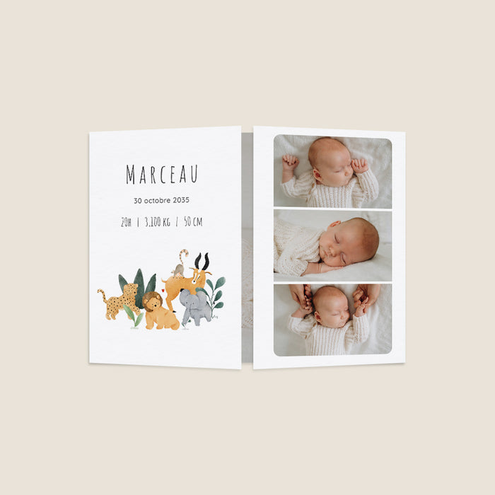 Les iconiques de Planet Cards Bébé de la Savane