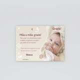Coccinelle e farfalle