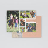 Pêle-mêle équitation