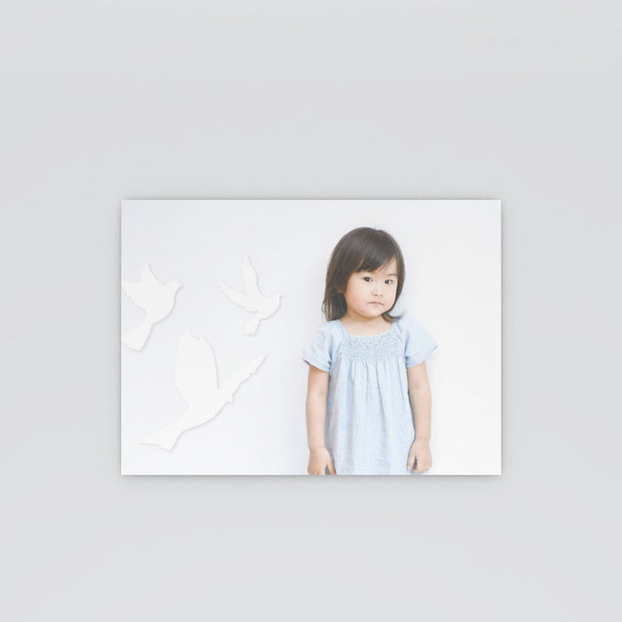 #lang=IT,format=G2RV,color=Mint cream,Cut=RC0