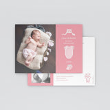 Pictos et Nounours