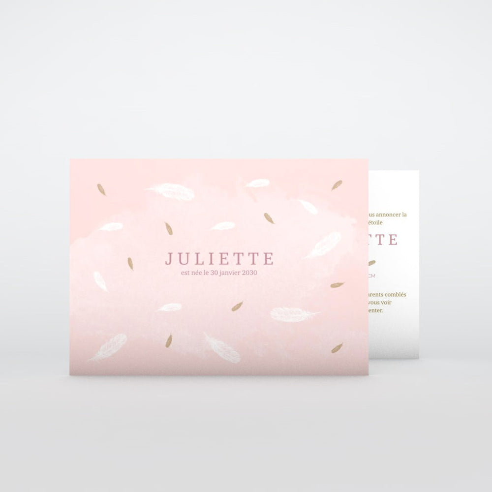 Douces Petites Plumes