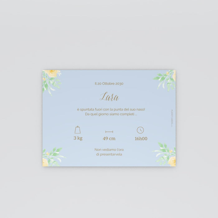 #lang=IT,format=G2RV,color=Pastel blue,Cut=RC0
