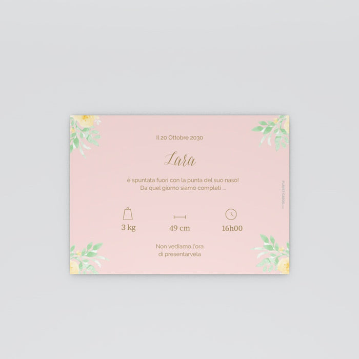 #lang=IT,format=G2RV,color=Misty rose,Cut=RC0