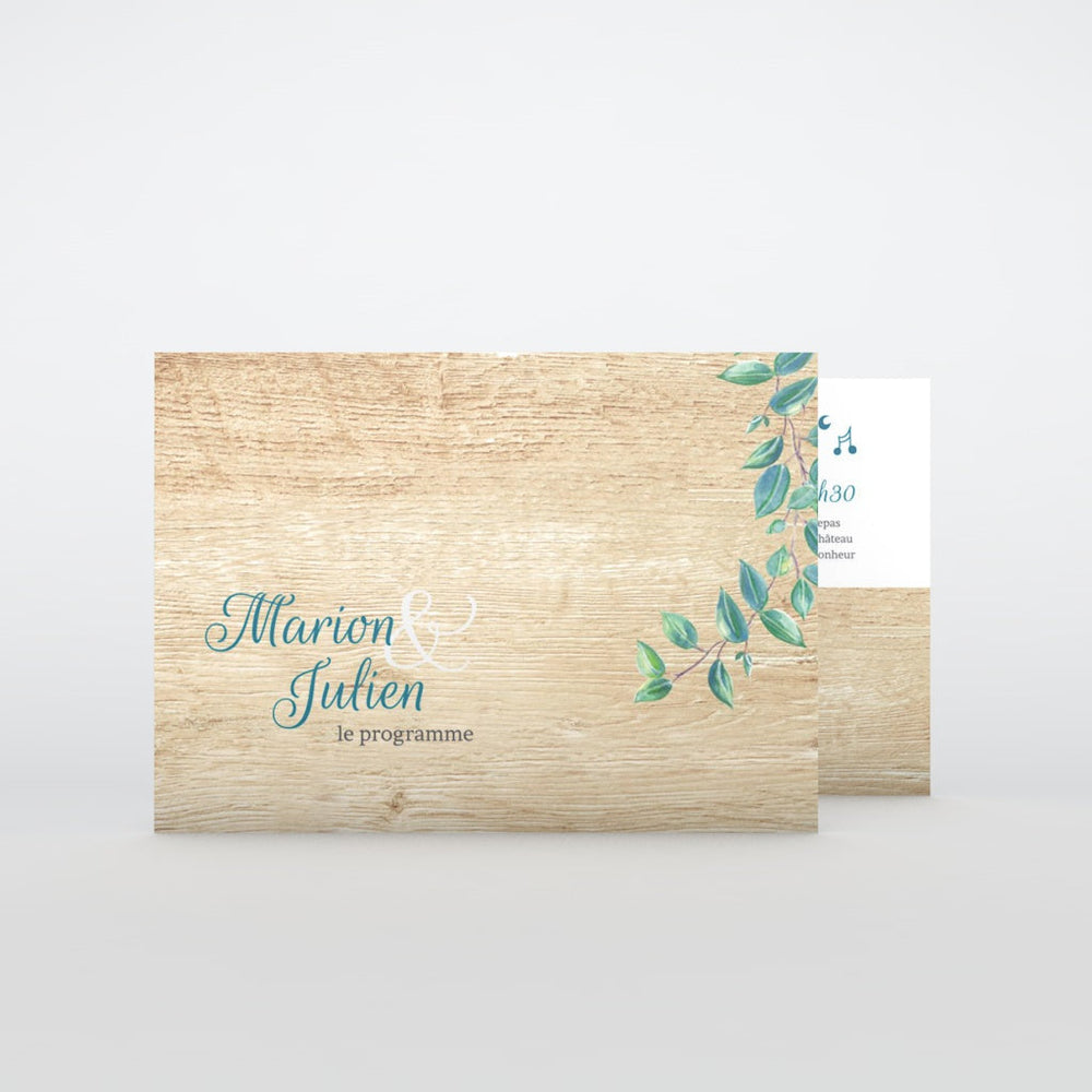Eucalyptus Et Bois