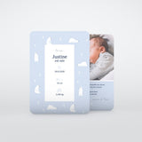Arctique Ours