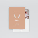 Lapin Minimaliste