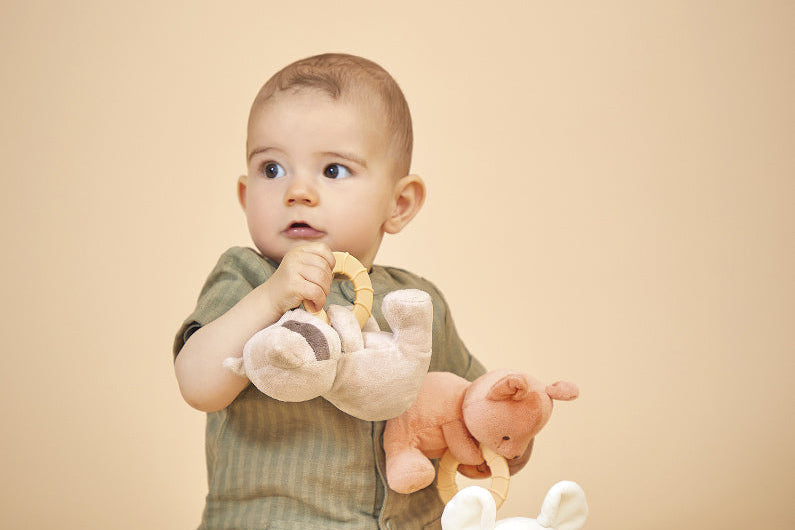🐻 L’ourson, le compagnon intemporel