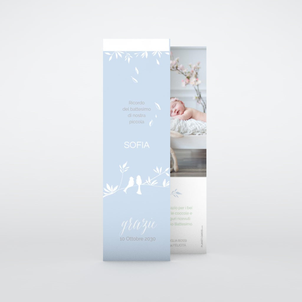 Ringraziamenti battesimo bambino con animali