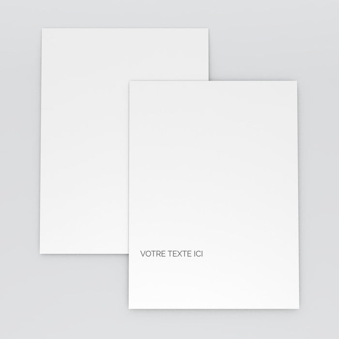 #lang=FR,format=PFM,Cut=RC0