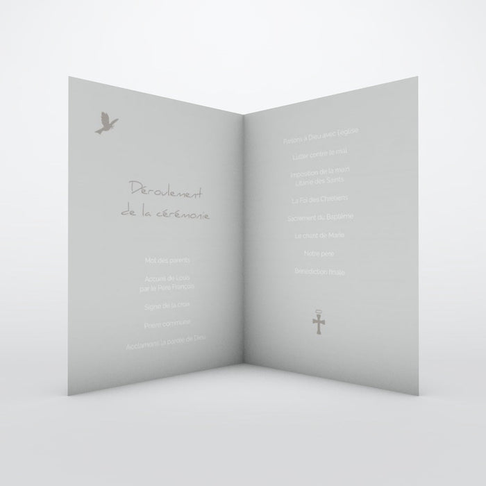 #lang=FR,format=P1G,color=Slate grey,Cut=RC0