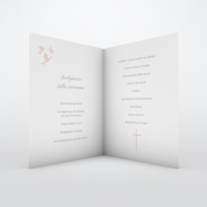 #lang=IT,format=P1G,color=Misty rose,Cut=RC0
