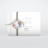 Petit Ours et Liberty