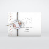 Petit Ours et Liberty