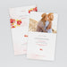 #lang=DE,format=PF2HB,Cut=RC0,Accessories=FINO
