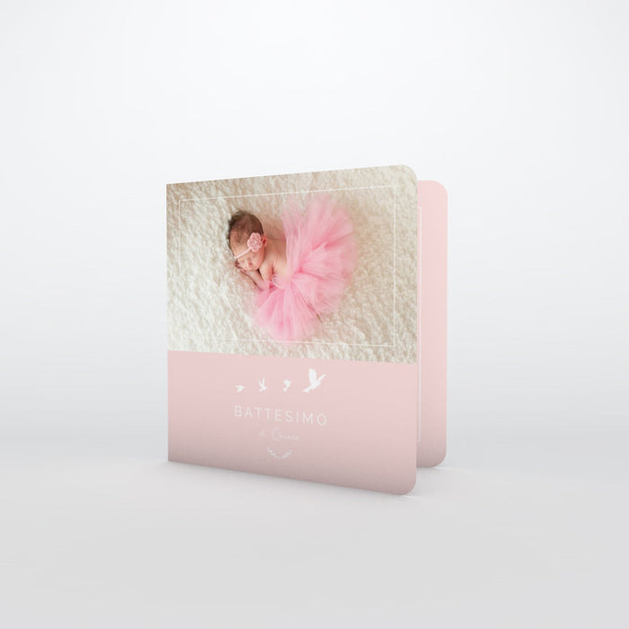 #lang=IT,format=CG,color=Misty rose,Cut=RC1