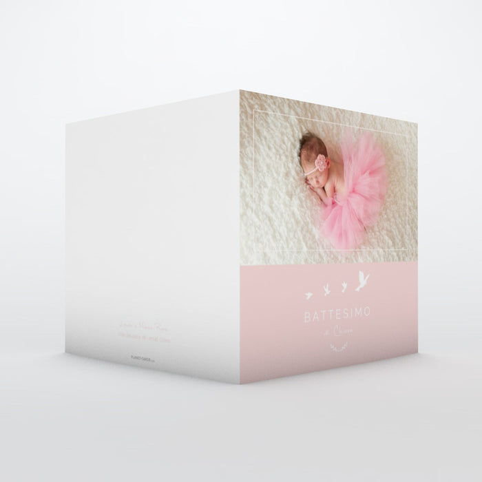 #lang=IT,format=CG,color=Misty rose,Cut=RC0