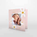 Notre Jolie Fleur En Photo