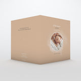 Cosmos Fille